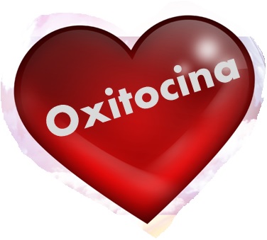 Corazón con oxitocina