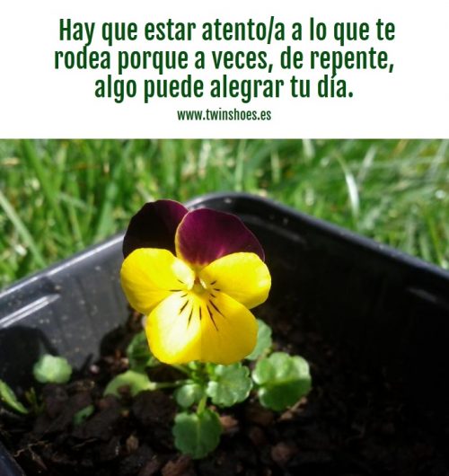 Frase de felicidad