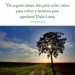 Imgen con frase de amor Dalai Lama