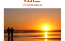 "Resulta sorprendente que la mayor parte de nuestra felicidad proviene de nuestras relaciones con los demás" Dalai Lama