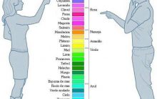 infografía colores según el sexo