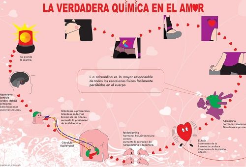 Infografía amor