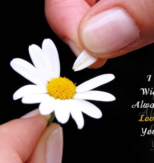 Me quiere, no me quiere